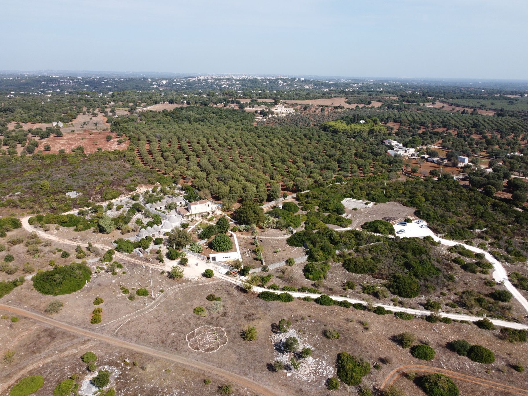 La masseria dall’alto, gli ulivi e Ceglie Messapica all’orizzonte