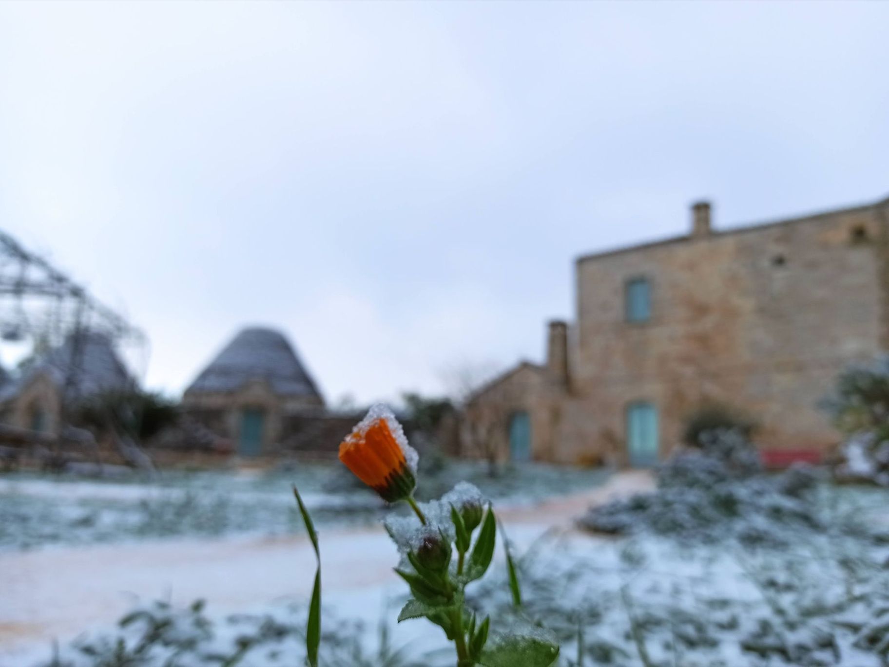 Neve su LoJazzo, Gennaio