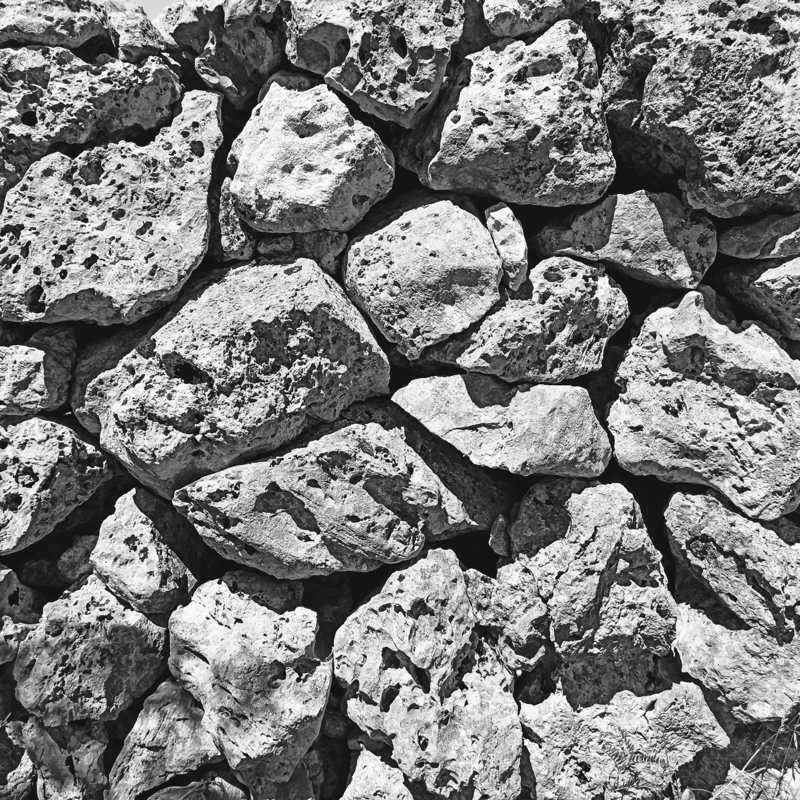 Un muro a secco nella macchia