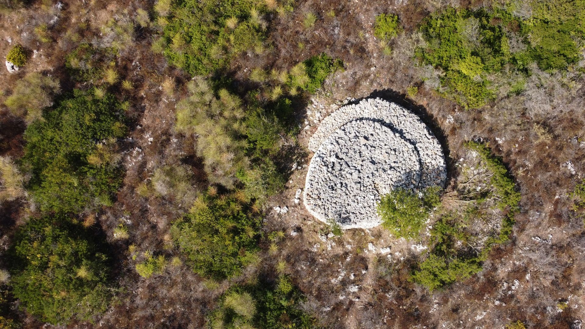 Una specchia messapica nella macchia, vista dall’alto