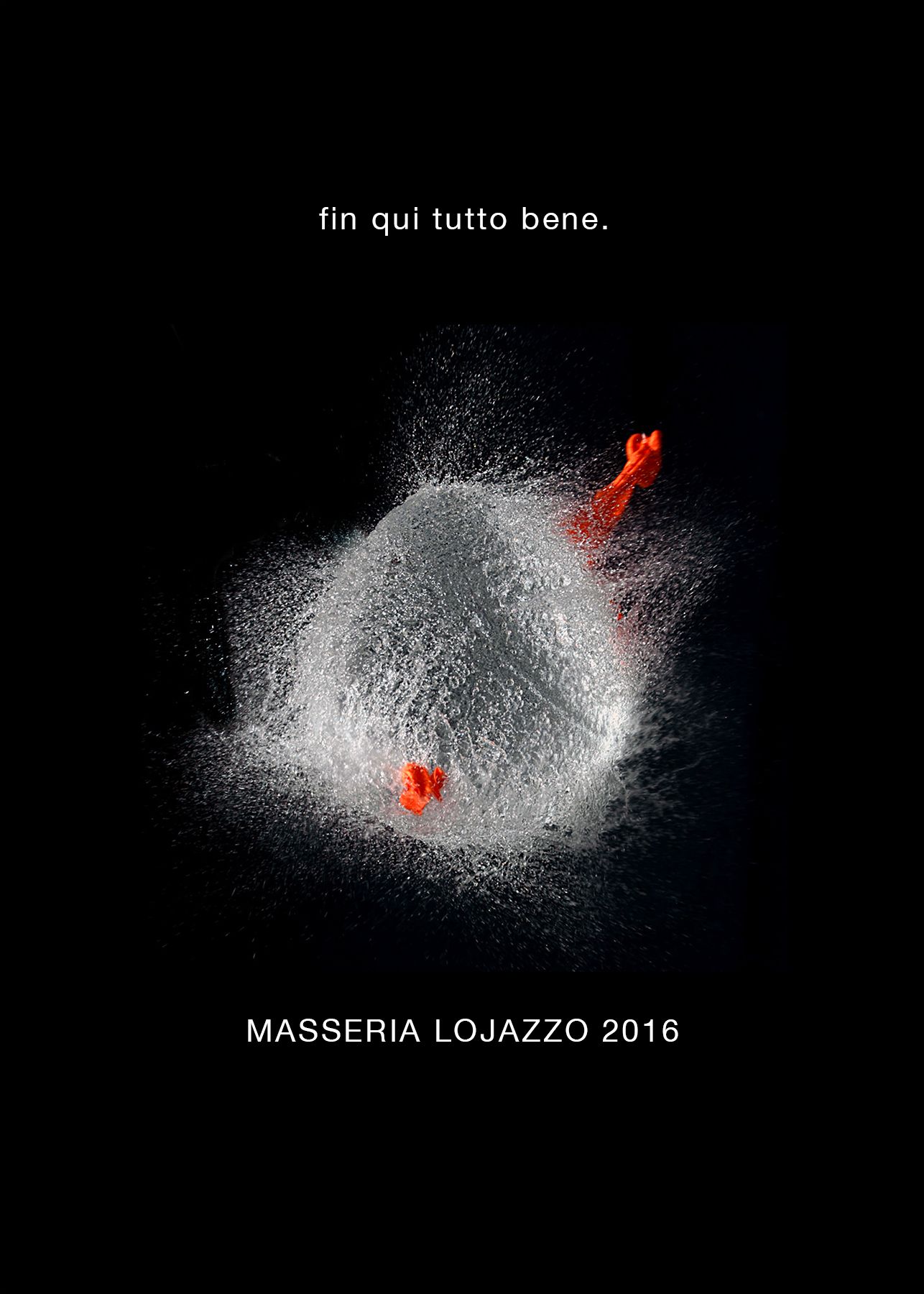 «Fin qui tutto bene.» · 2016