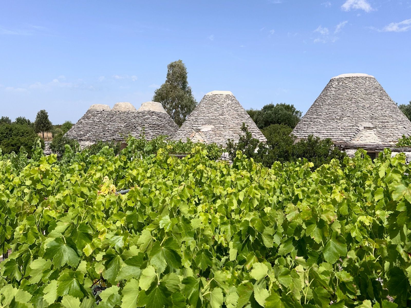 Il parco della Masseria LoJazzo, nelle stagioni