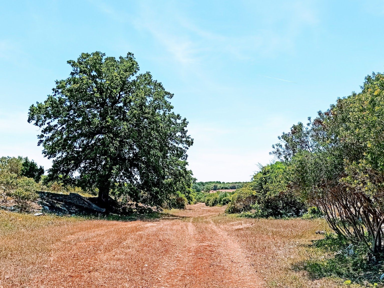 Il parco della Masseria LoJazzo, nelle stagioni