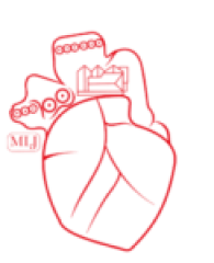 CUORE LOGO TRANSP